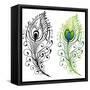 Feathers-worksart-Framed Stretched Canvas