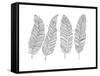 Feathers-Neeti Goswami-Framed Stretched Canvas