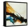 Feathers-Farrell Douglass-Framed Stretched Canvas