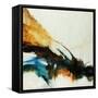 Feathers-Farrell Douglass-Framed Stretched Canvas