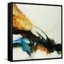 Feathers-Farrell Douglass-Framed Stretched Canvas