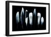 Feathers-Incado-Framed Photographic Print