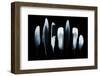 Feathers-Incado-Framed Photographic Print