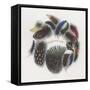 Feathers-null-Framed Stretched Canvas