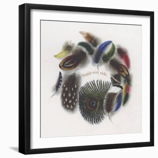 Feathers-null-Framed Giclee Print