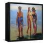 Featherskins, 2008-Daniel Clarke-Framed Stretched Canvas