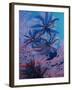 Featherstars Feeding in Current on Red Gorgonian, Solomon Islands, Pacific Ocean, Pacific-Murray Louise-Framed Photographic Print