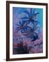 Featherstars Feeding in Current on Red Gorgonian, Solomon Islands, Pacific Ocean, Pacific-Murray Louise-Framed Photographic Print