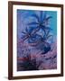 Featherstars Feeding in Current on Red Gorgonian, Solomon Islands, Pacific Ocean, Pacific-Murray Louise-Framed Photographic Print