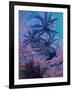 Featherstars Feeding in Current on Red Gorgonian, Solomon Islands, Pacific Ocean, Pacific-Murray Louise-Framed Photographic Print