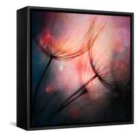 Feathery-Ursula Abresch-Framed Stretched Canvas