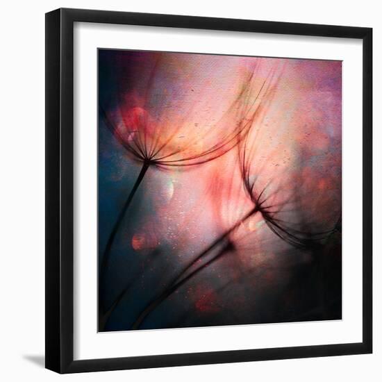 Feathery-Ursula Abresch-Framed Photographic Print