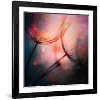 Feathery-Ursula Abresch-Framed Photographic Print