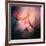 Feathery-Ursula Abresch-Framed Photographic Print