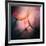 Feathery-Ursula Abresch-Framed Photographic Print