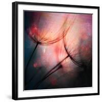 Feathery-Ursula Abresch-Framed Giclee Print