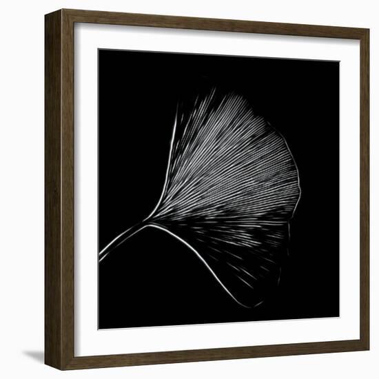 Features of a Ginkgo Leaf-Philippe Sainte-Laudy-Framed Photographic Print