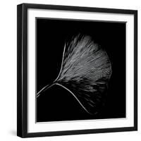 Features of a Ginkgo Leaf-Philippe Sainte-Laudy-Framed Photographic Print