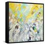 February Blooms-Ann Marie Coolick-Framed Stretched Canvas