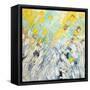 February Blooms-Ann Marie Coolick-Framed Stretched Canvas