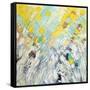 February Blooms-Ann Marie Coolick-Framed Stretched Canvas