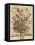 February, from 'Twelve Months of Flowers' by Robert Furber (C.1674-1756) Engraved by Henry Fletcher-Pieter Casteels-Framed Stretched Canvas