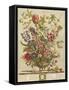 February, from 'Twelve Months of Flowers' by Robert Furber (C.1674-1756) Engraved by Henry Fletcher-Pieter Casteels-Framed Stretched Canvas