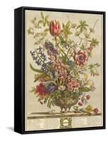 February, from 'Twelve Months of Flowers' by Robert Furber (C.1674-1756) Engraved by Henry Fletcher-Pieter Casteels-Framed Stretched Canvas