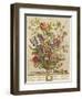 February, from 'Twelve Months of Flowers' by Robert Furber (C.1674-1756) Engraved by Henry Fletcher-Pieter Casteels-Framed Giclee Print