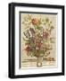 February, from 'Twelve Months of Flowers' by Robert Furber (C.1674-1756) Engraved by Henry Fletcher-Pieter Casteels-Framed Giclee Print