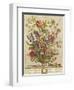 February, from 'Twelve Months of Flowers' by Robert Furber (C.1674-1756) Engraved by Henry Fletcher-Pieter Casteels-Framed Giclee Print