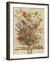 February, from 'Twelve Months of Flowers' by Robert Furber (C.1674-1756) Engraved by Henry Fletcher-Pieter Casteels-Framed Giclee Print