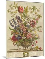 February, from 'Twelve Months of Flowers' by Robert Furber (C.1674-1756) Engraved by Henry Fletcher-Pieter Casteels-Mounted Giclee Print