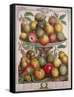 February, from 'Twelve Months of Fruits'-Pieter Casteels-Framed Stretched Canvas