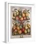 February, from 'Twelve Months of Fruits'-Pieter Casteels-Framed Giclee Print