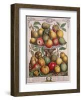 February, from 'Twelve Months of Fruits'-Pieter Casteels-Framed Giclee Print