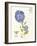 February Periwinkle-Ariane Sarah-Framed Art Print