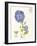 February Periwinkle-Ariane Sarah-Framed Art Print