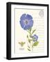 February Periwinkle-Ariane Sarah-Framed Art Print