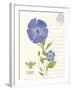 February Periwinkle-Ariane Sarah-Framed Art Print