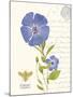 February Periwinkle-Ariane Sarah-Mounted Art Print