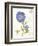 February Periwinkle-Ariane Sarah-Framed Art Print