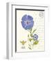 February Periwinkle-Ariane Sarah-Framed Art Print