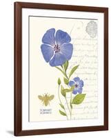 February Periwinkle-Ariane Sarah-Framed Art Print