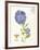 February Periwinkle-Ariane Sarah-Framed Art Print