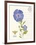 February Periwinkle-Ariane Sarah-Framed Art Print