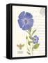 February Periwinkle-Ariane Sarah-Framed Stretched Canvas