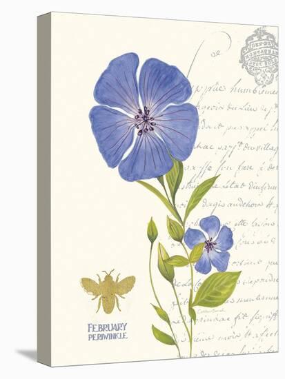 February Periwinkle-Ariane Sarah-Stretched Canvas