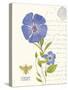 February Periwinkle-Ariane Sarah-Stretched Canvas