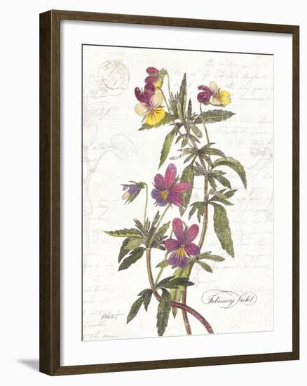 February Violet on White-Katie Pertiet-Framed Art Print